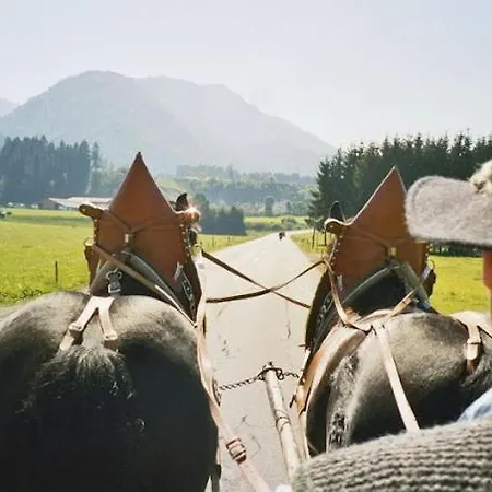 My Erholung Auf Erlebnishof Zwischen Chiemseestrand Und Kampenwand شقة